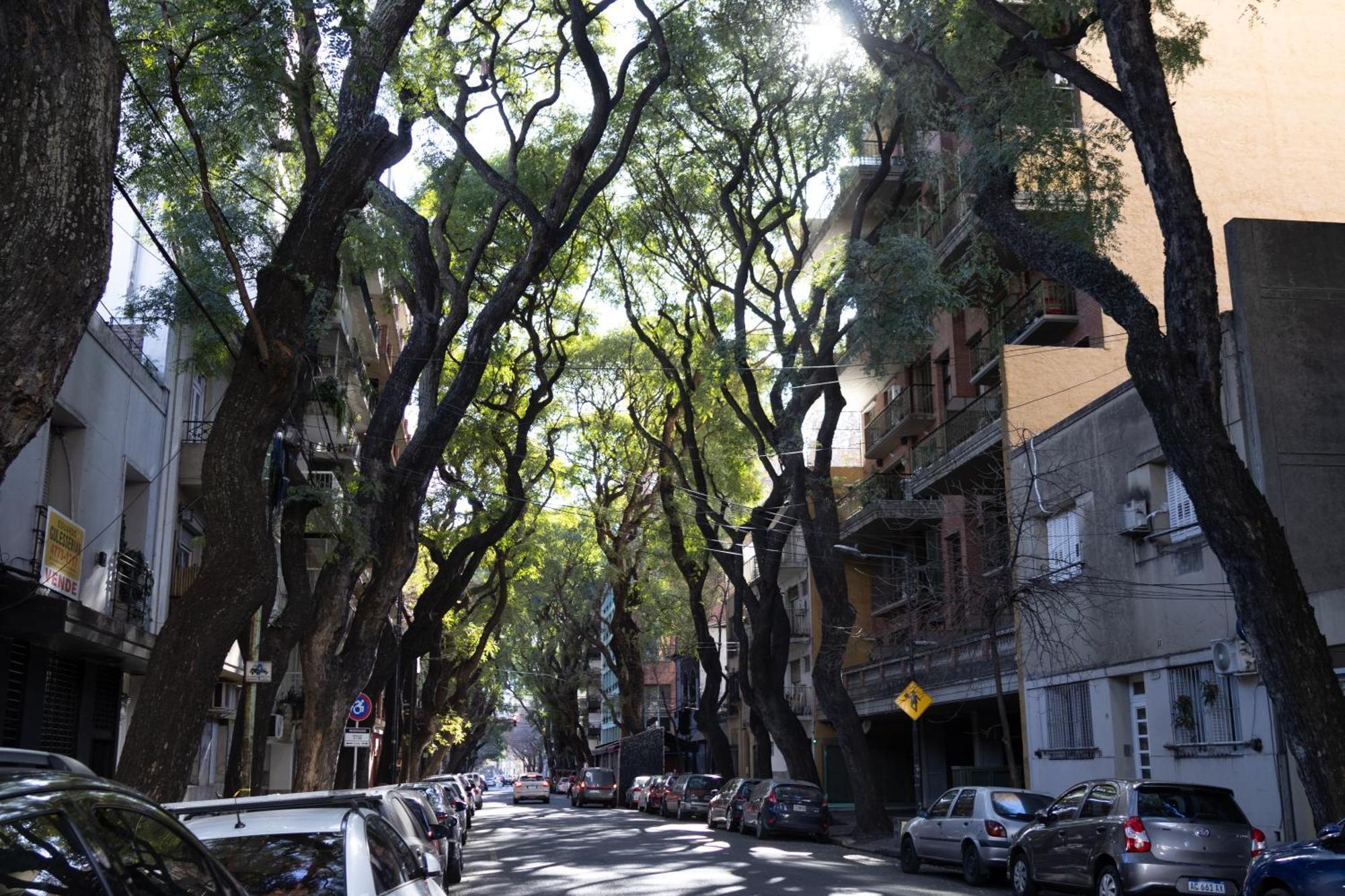 Palermo Soho G4827 - Departamentos Modernos, Amplios Y Luminosos Apartment บัวโนสไอเรส ภายนอก รูปภาพ