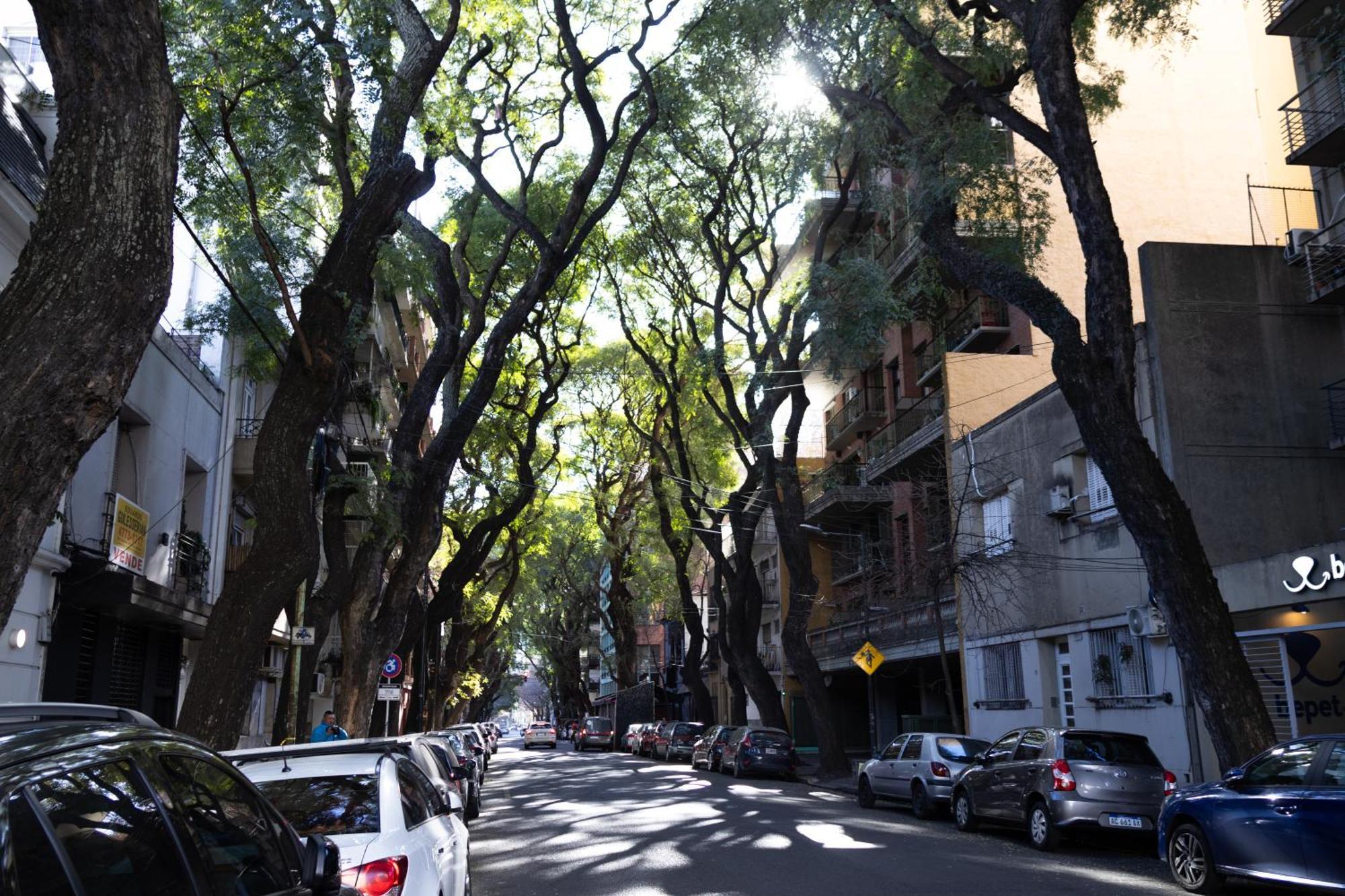 Palermo Soho G4827 - Departamentos Modernos, Amplios Y Luminosos Apartment บัวโนสไอเรส ภายนอก รูปภาพ