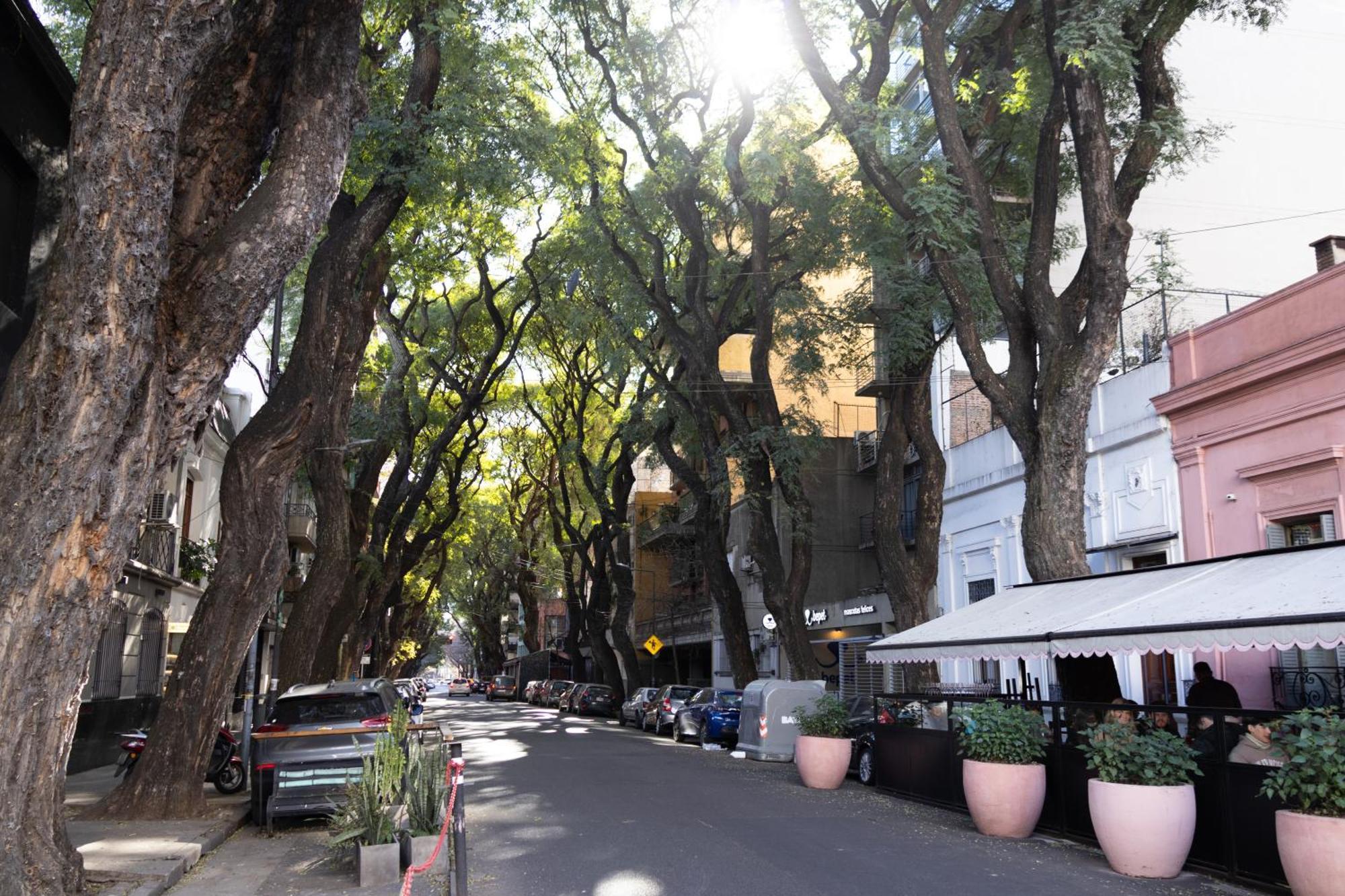 Palermo Soho G4827 - Departamentos Modernos, Amplios Y Luminosos Apartment บัวโนสไอเรส ภายนอก รูปภาพ